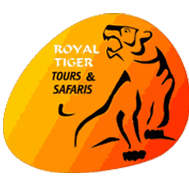 royal tiger tours and safaris